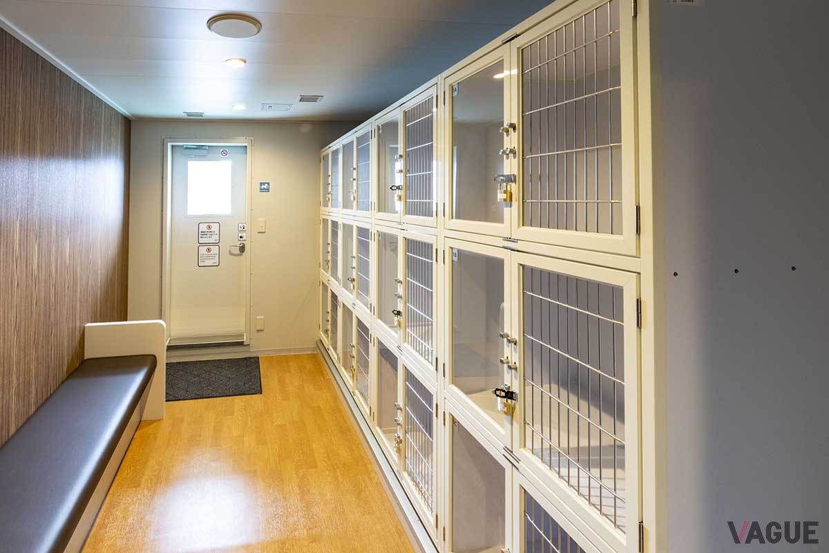 新造船「ブルーグレイス」船内