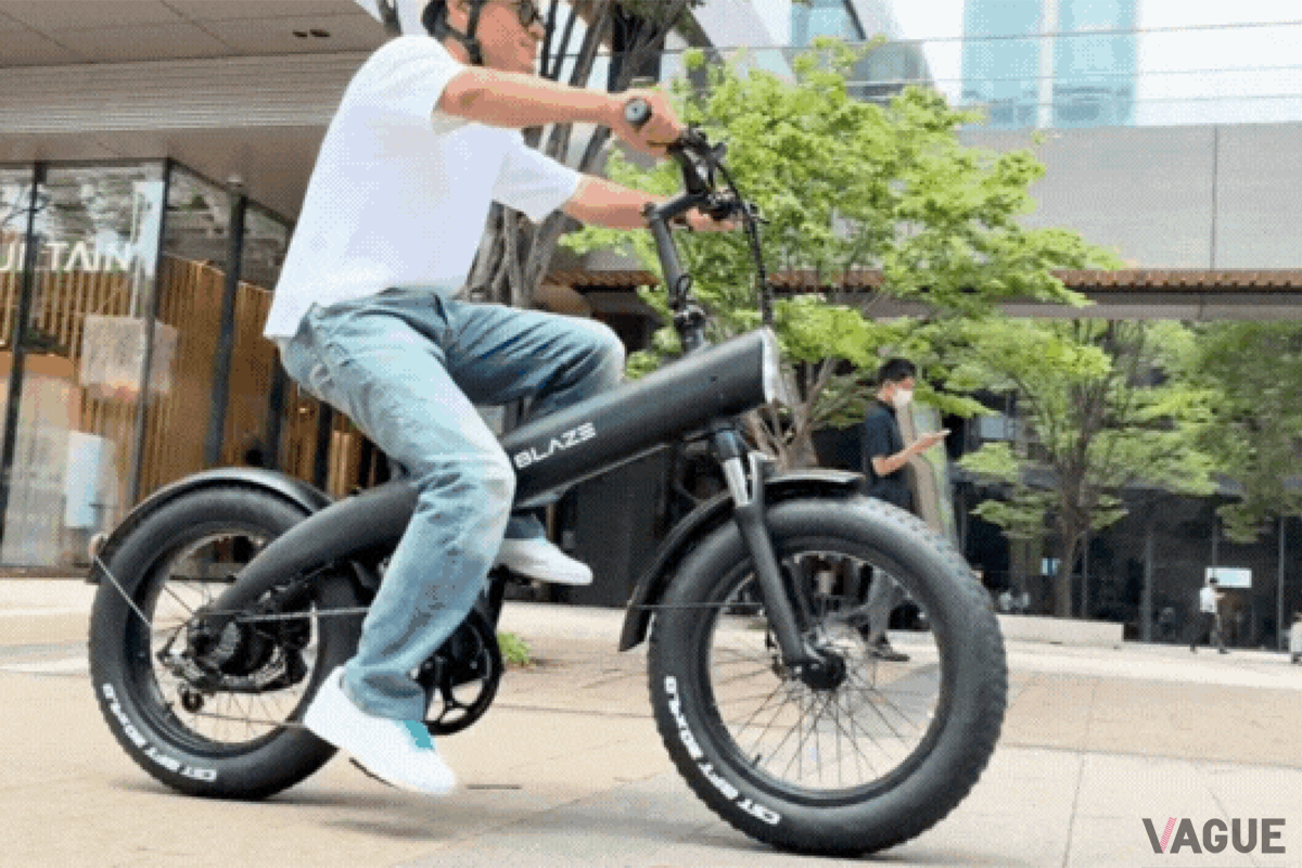 STYLE e-BIKE：24万8000円
