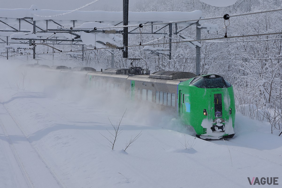 フリーエリア内の特急・快速・普通列車の普通車指定席と自由席が乗り放題となるJAL＆JR北海道の「ひがし＆きた北海道キャンペーン」