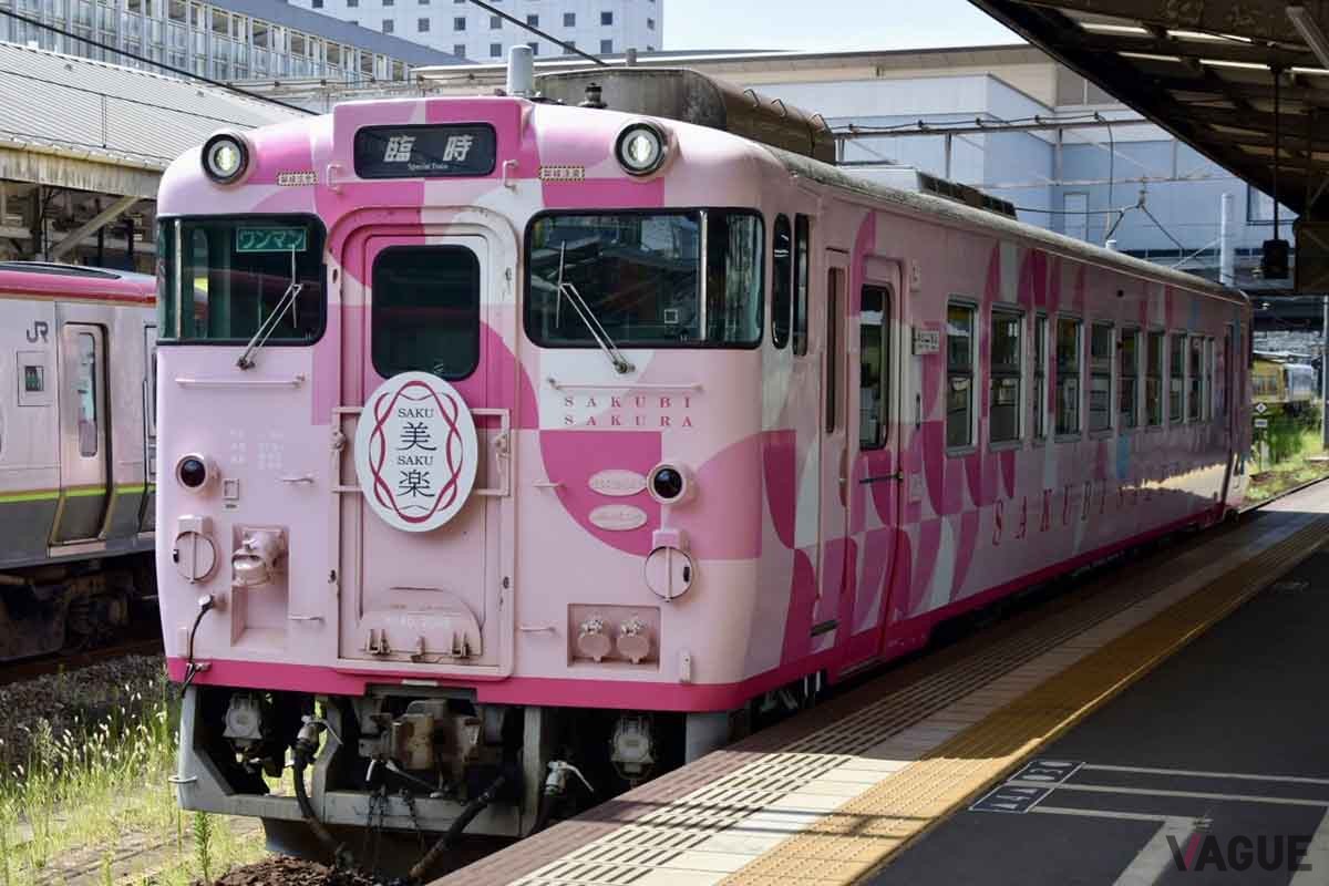 津山駅では岡山エリアを走る観光列車「SAKU美SAKU楽」との乗換が可能