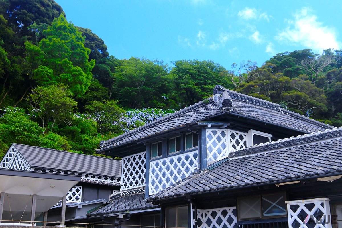 周辺にはなまこ壁の建物が多数