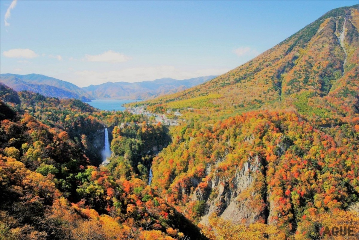 眼下に広がる紅葉と華厳の滝が織りなす圧巻の景色
