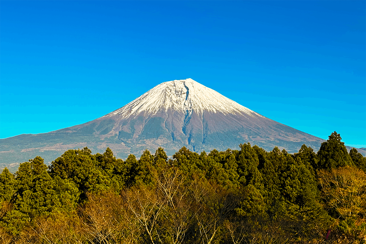 施設から望む富士山の景観