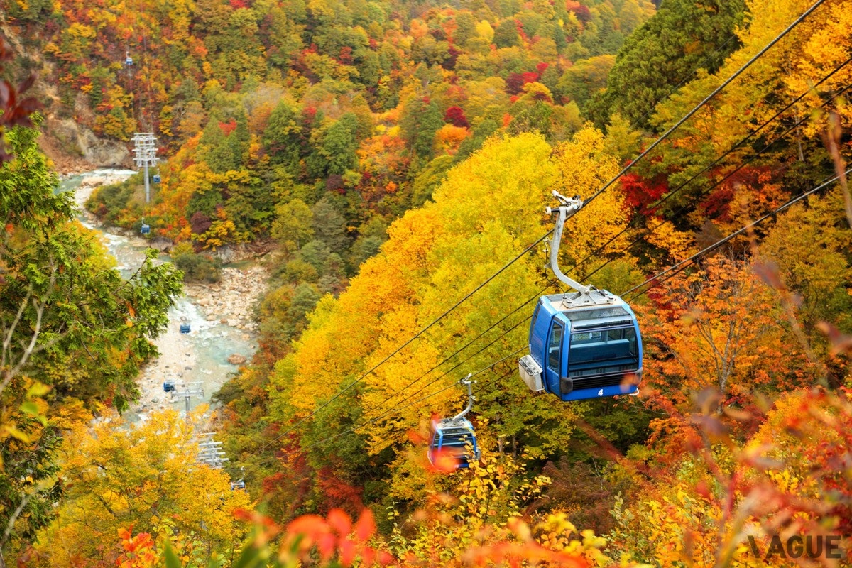 ゴンドラから眺める錦秋の紅葉