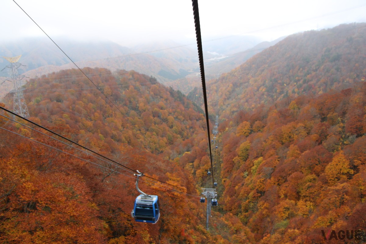 ゴンドラから眺める錦秋の紅葉