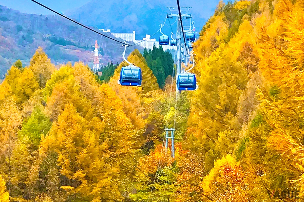 ゴンドラから眺める錦秋の紅葉