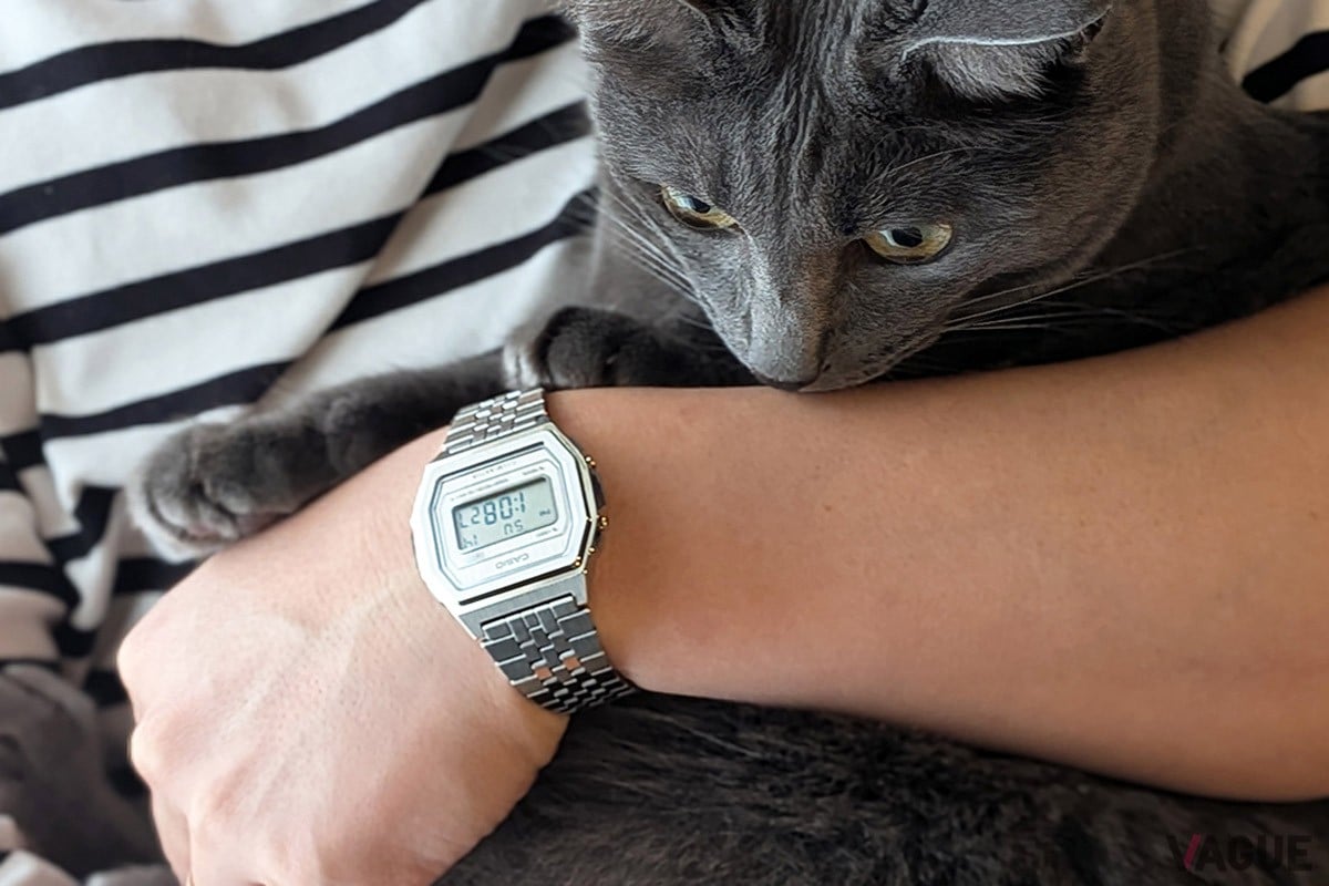 ヘアライン仕上げのシャープな佇まいが魅力的な「CASIO CLASSIC PREMIUM SERIES」の新作