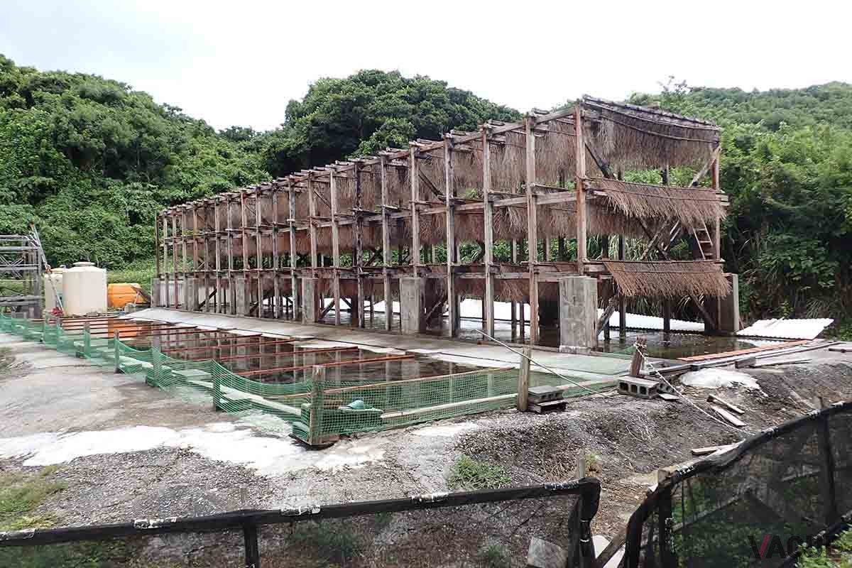 浜比嘉島で、流下式塩田による塩作りを手がける「高江洲製塩所」。枝状に並べられた竹を伝い海水が滴る間に水分を蒸発させ、濃い塩水を作る