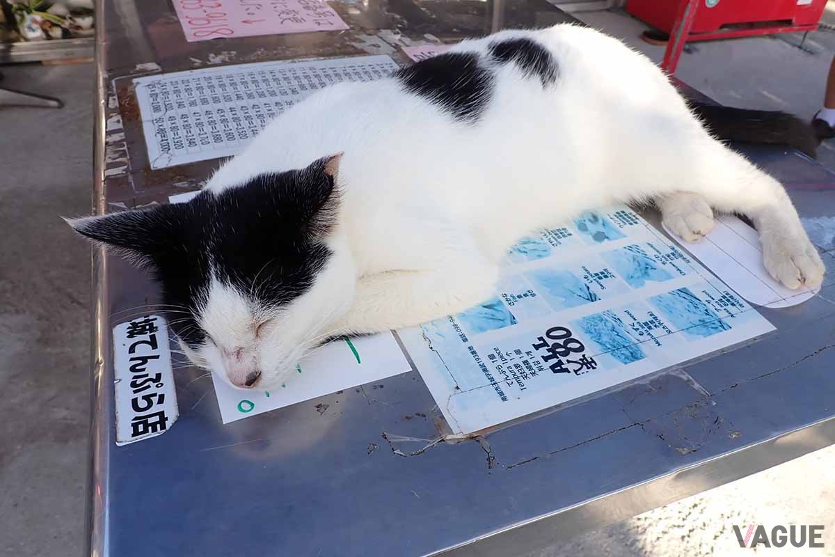 奥武島には多くのネコがのんびりと暮らしている。「大城てんぷら店」のテーブルの上もお構いなし。なお天ぷらの価格は現在120円均一となっている