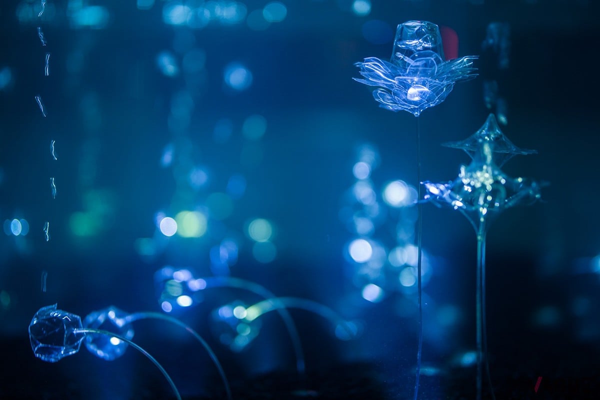 小松 宏誠＋三好 賢聖『プワンツ／PUWANTS』。気泡の動きに合わせて水中を透明な植物が揺れ動くアートシリーズ。本展では時間・腕時計から着想を得た新作が登場。photo by Takahiro Tsushima