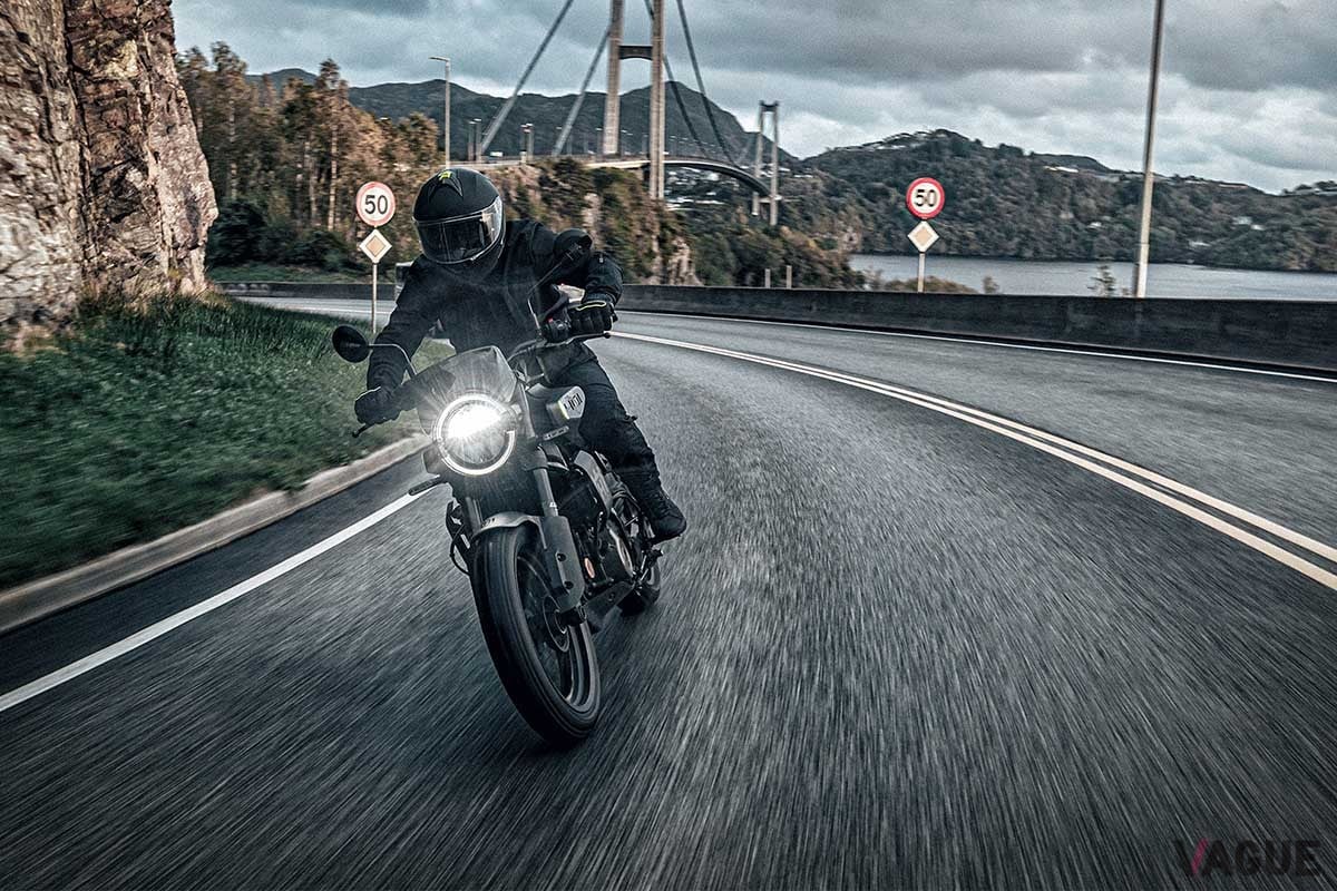 ハスクバーナ「スヴァルトピレン 401」