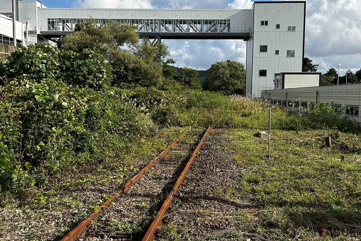 廃線が決まっているJR津軽線・津軽二股駅の構内。草が生い茂っている