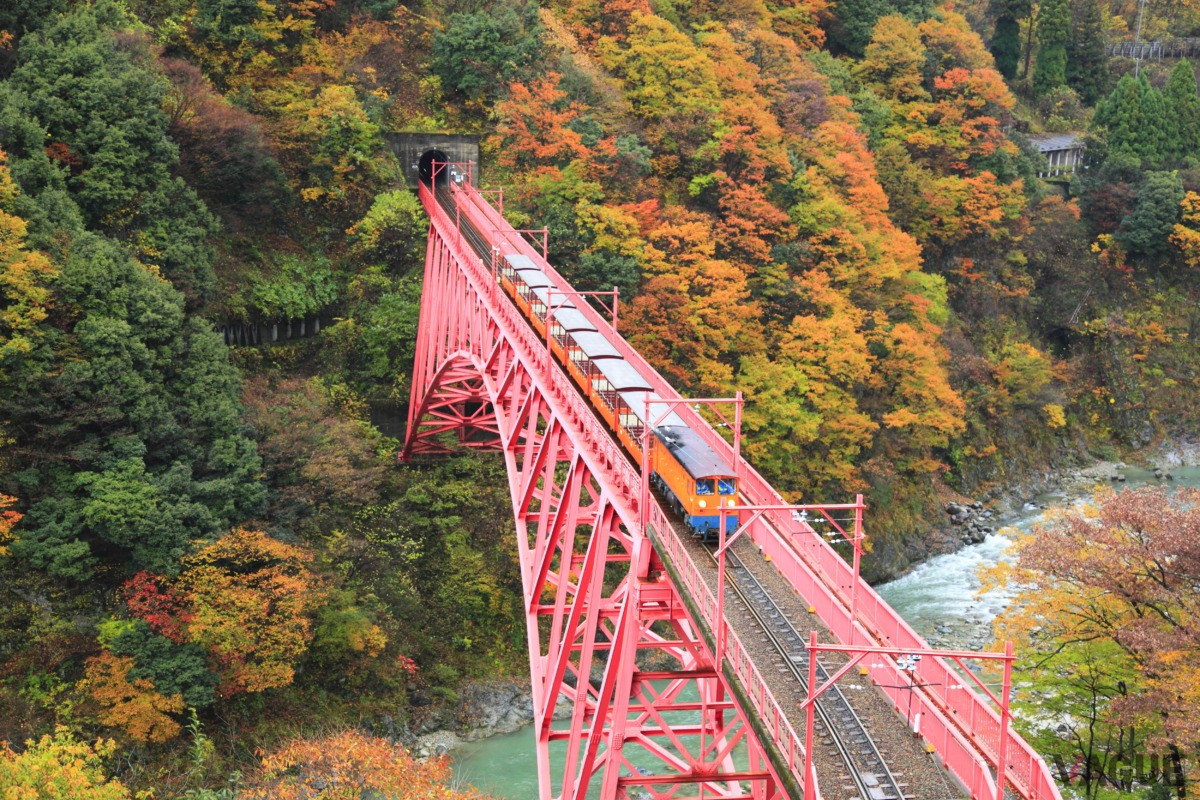 9位：黒部峡谷鉄道【富山県】