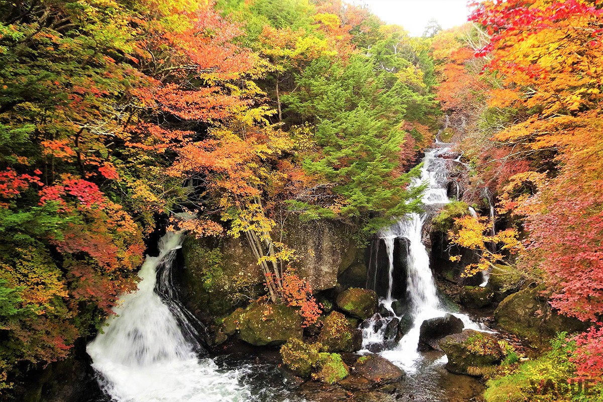 竜頭ノ滝