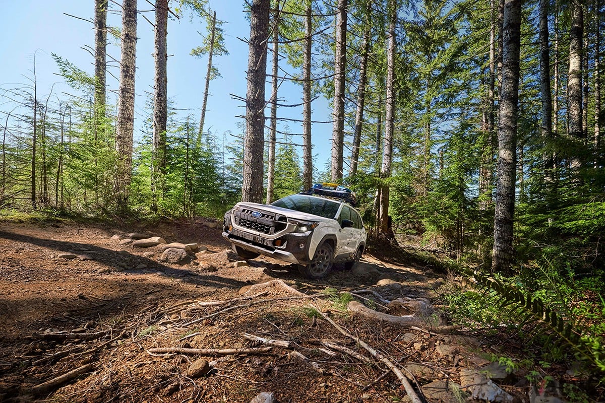 スバル「フォレスター ウィルダネス」（北米仕様）