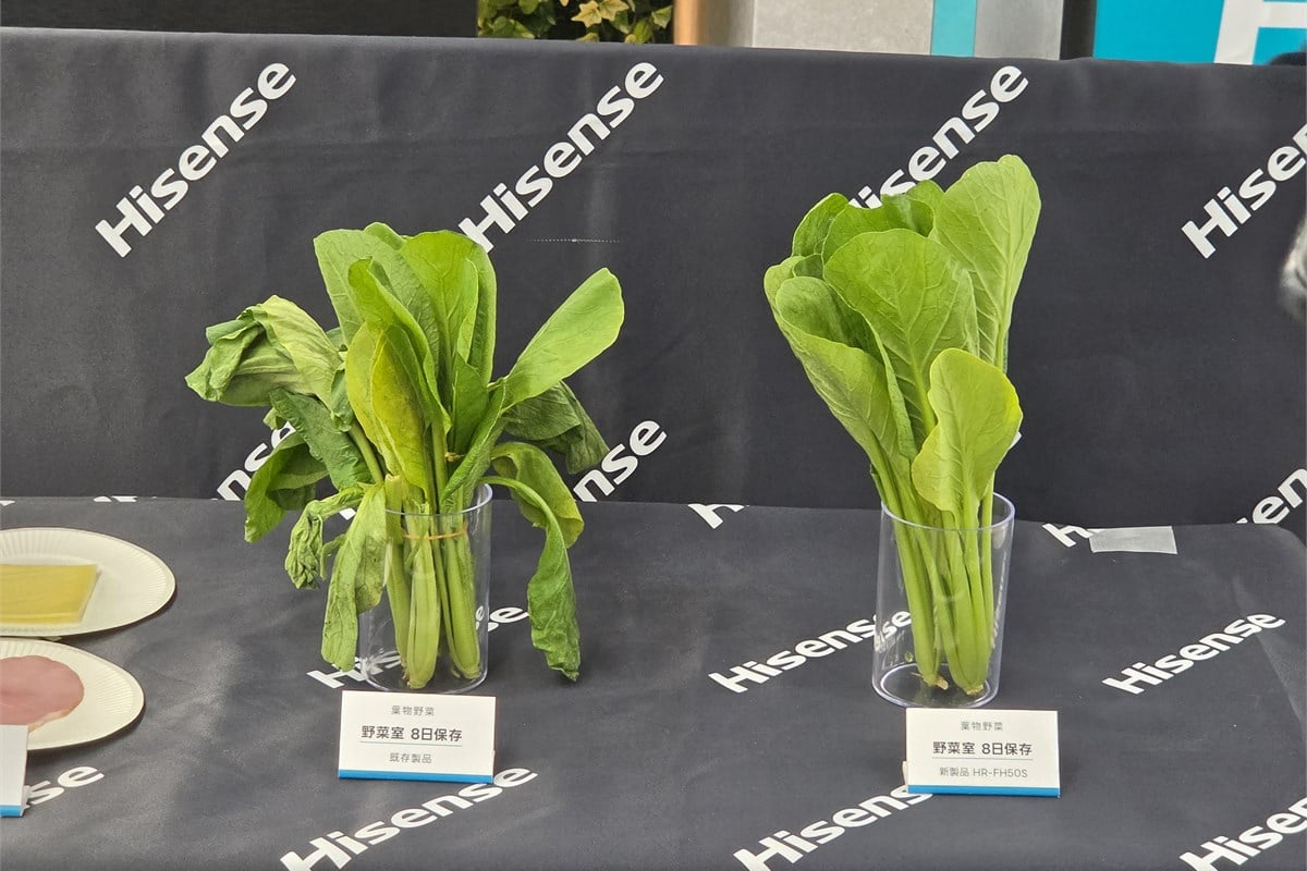 内覧会で示された葉物野菜の保存状態の比較。メーカーは小松菜を14日間保存した試験で、水分残存率が従来機81％、新製品94％と説明した。写真の展示と数値試験は条件が異なる点にも注意したい。