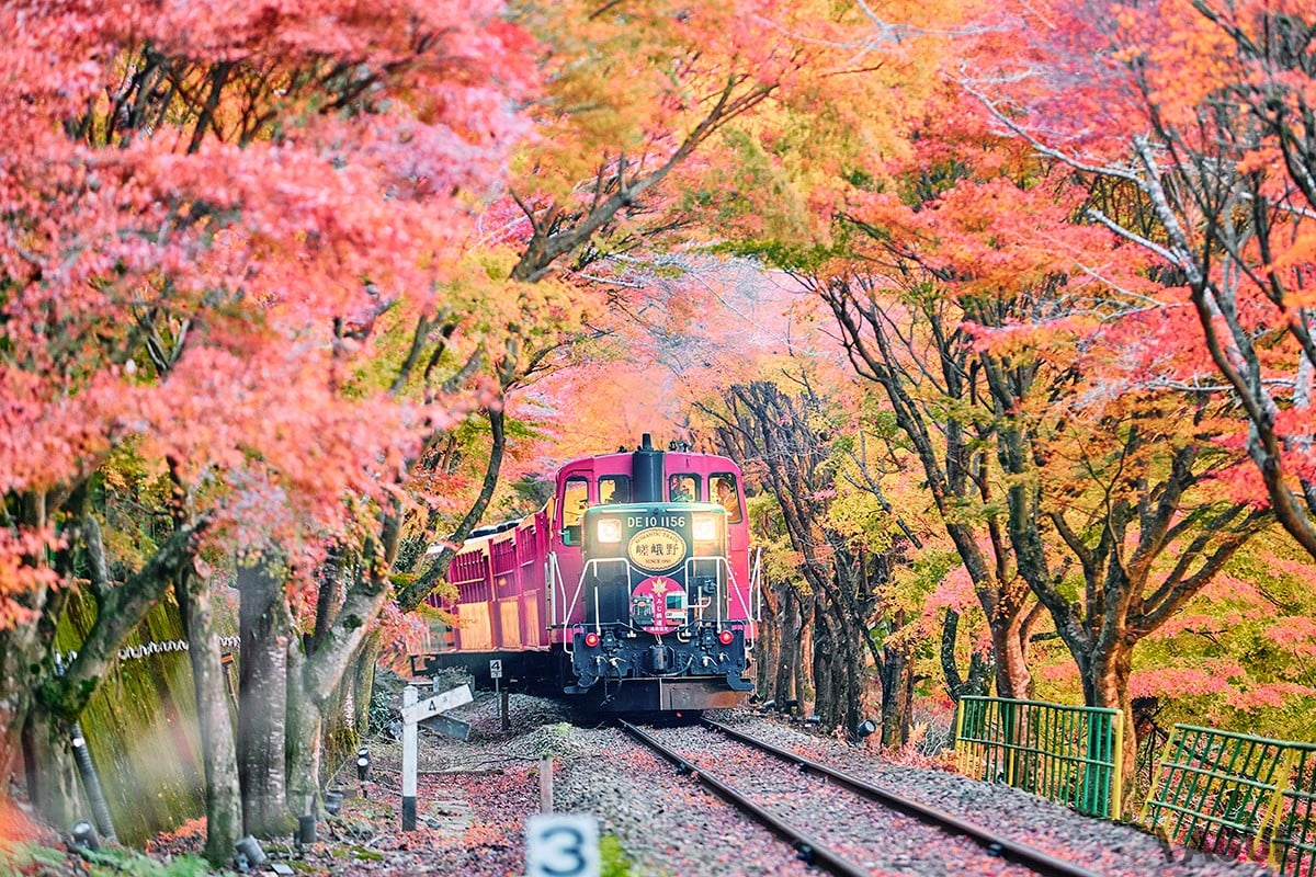 2位：嵯峨野トロッコ列車【京都府】