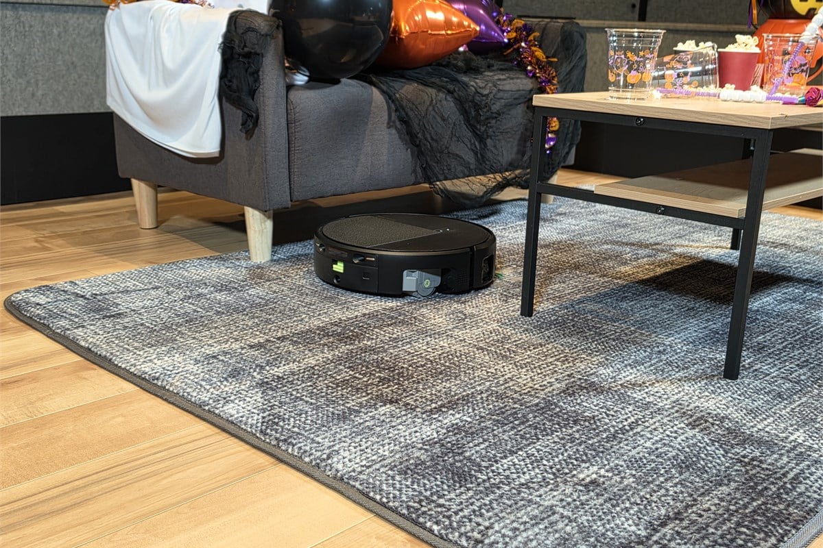 会場に設けられたカーペット清掃のデモエリア。毛足のある敷物への対応は、愛犬が滑りにくい床づくりと掃除を両立したかった山田社長にとって、譲れないポイントの一つでした。