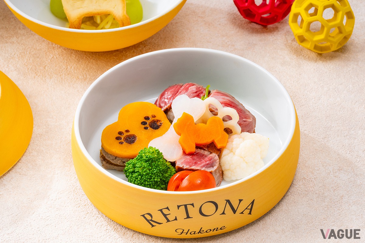 ホテルメイドの愛犬用夕食メニュー（イメージ）