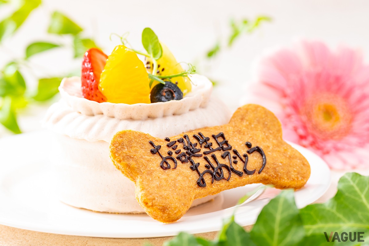 愛犬用の記念日ケーキ（イメージ）