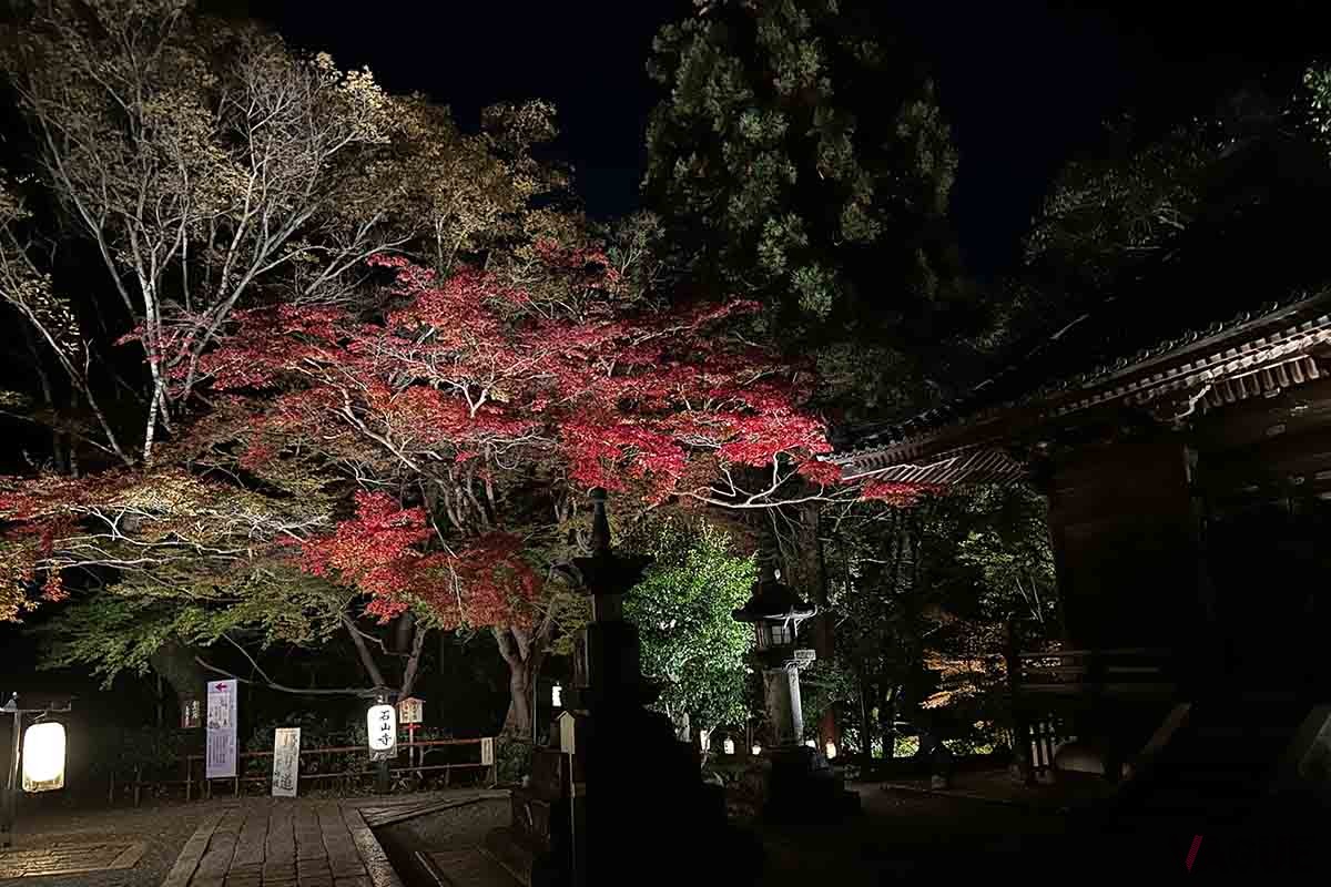石山寺（滋賀県大津市）の「あたら夜もみじ 〜あたら夜 宵むすび〜」