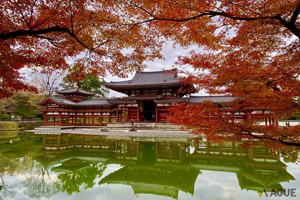 平等院（京都府宇治市）の紅葉