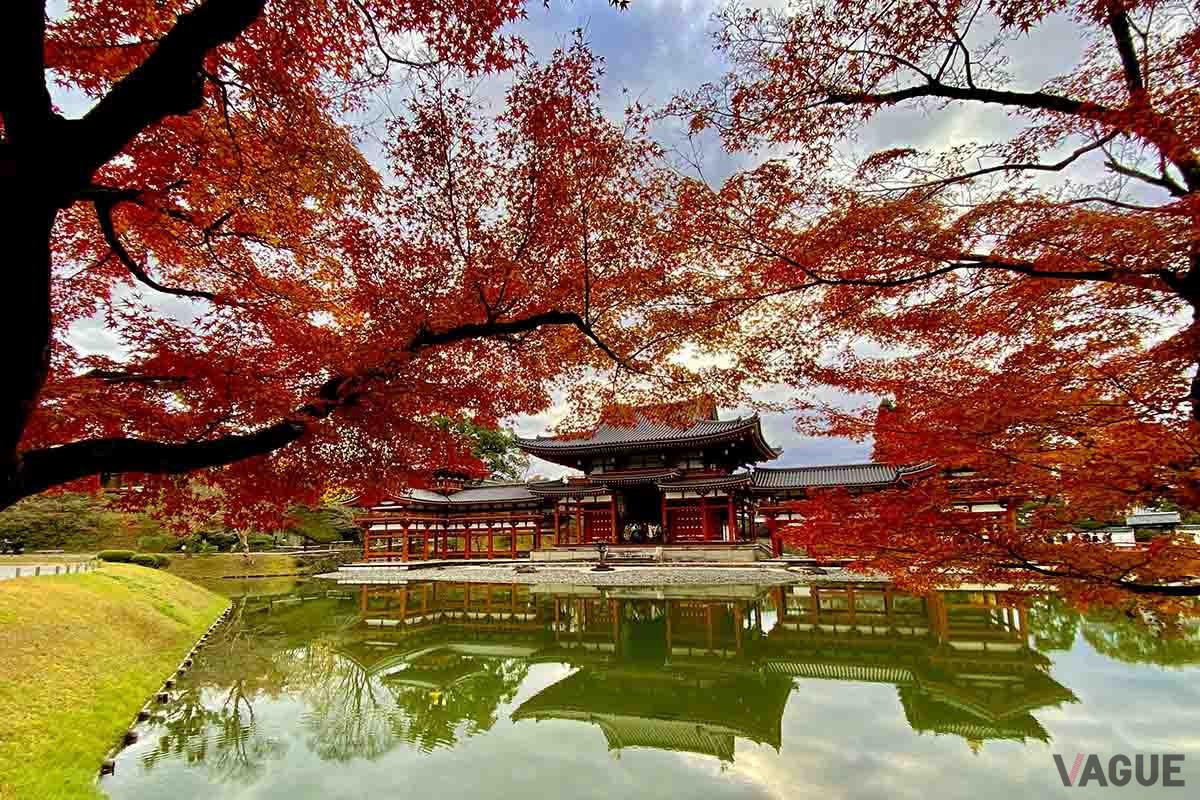 平等院（京都府宇治市）の紅葉