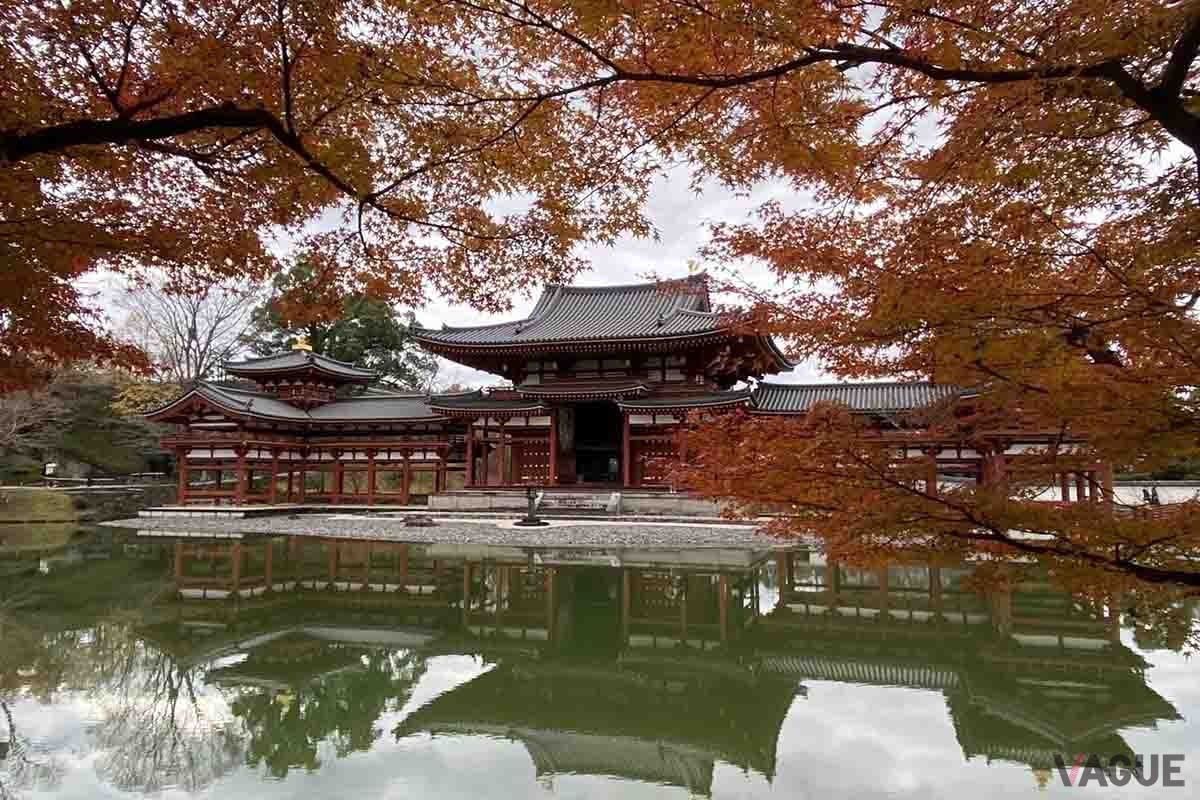 平等院（京都府宇治市）の紅葉