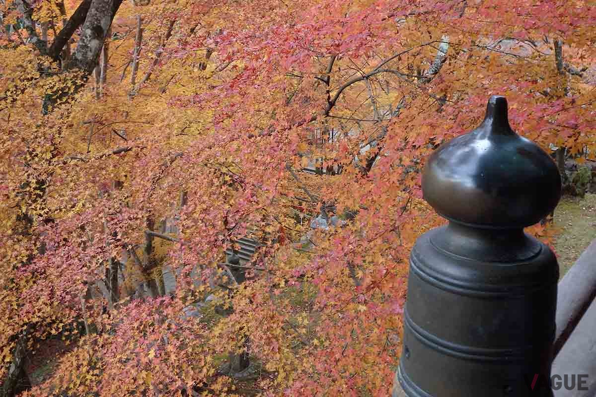 談山神社（奈良県桜井市）の紅葉
