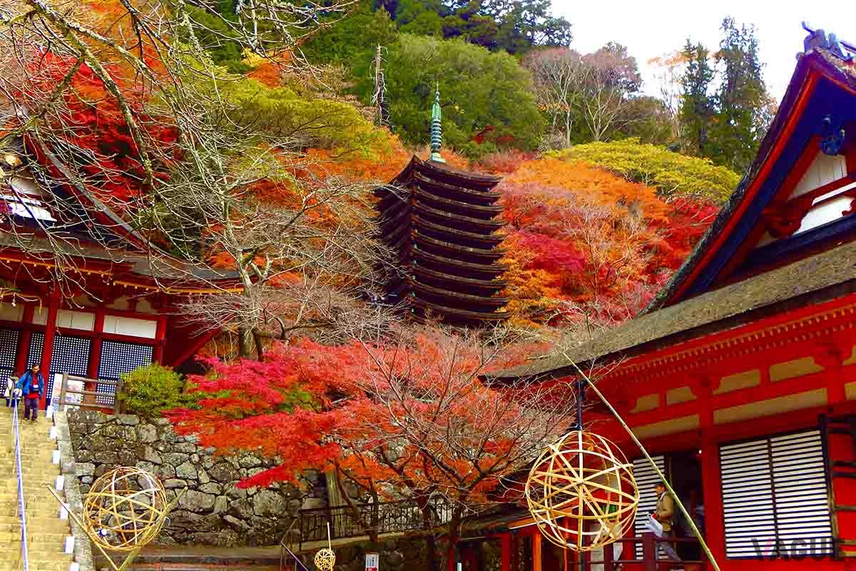 談山神社（奈良県桜井市）の紅葉