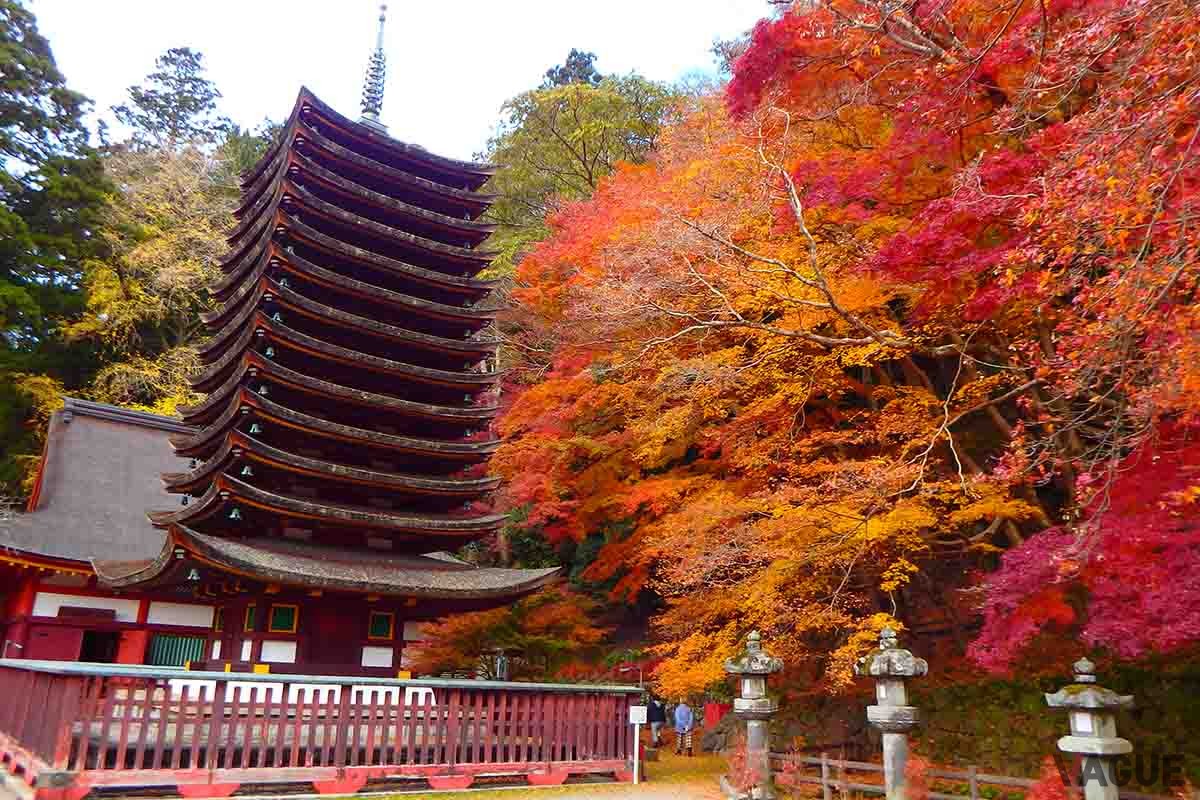 談山神社（奈良県桜井市）の紅葉