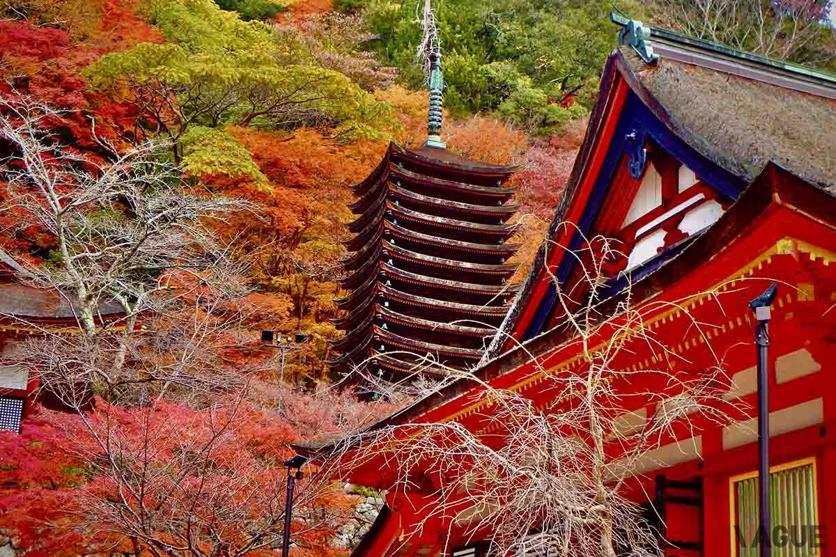 談山神社(奈良県桜井市)の紅葉