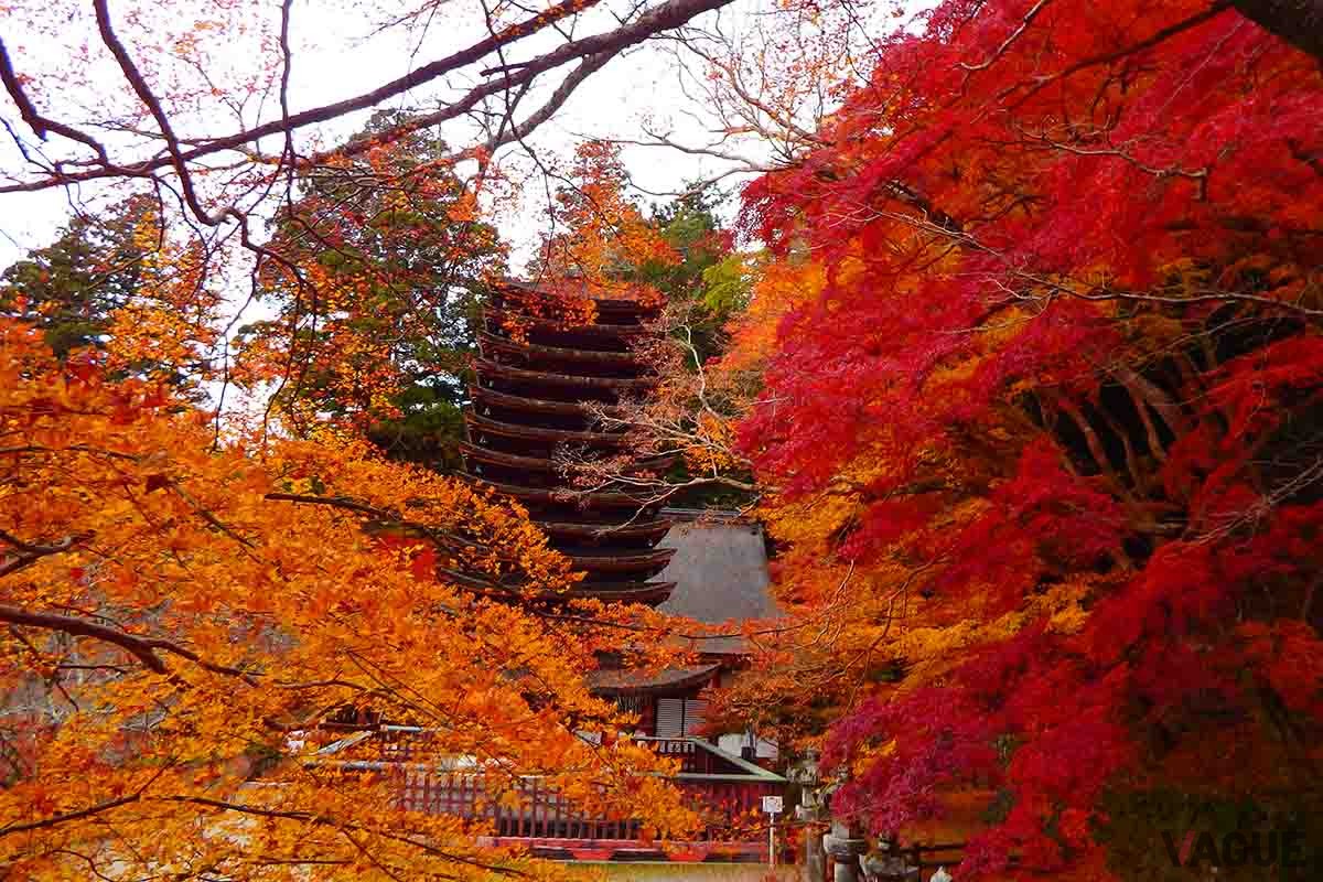 談山神社（奈良県桜井市）の紅葉