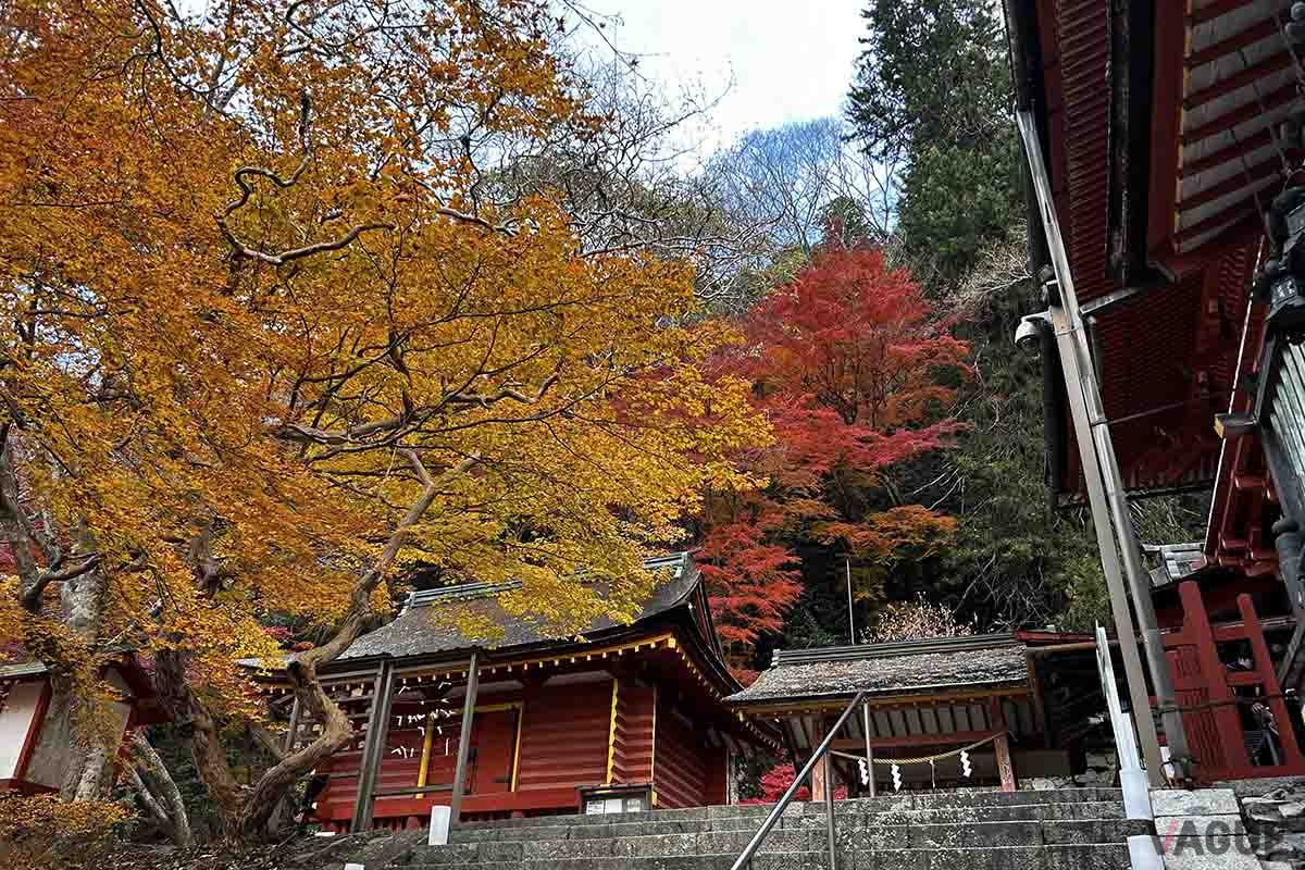 談山神社（奈良県桜井市）の紅葉