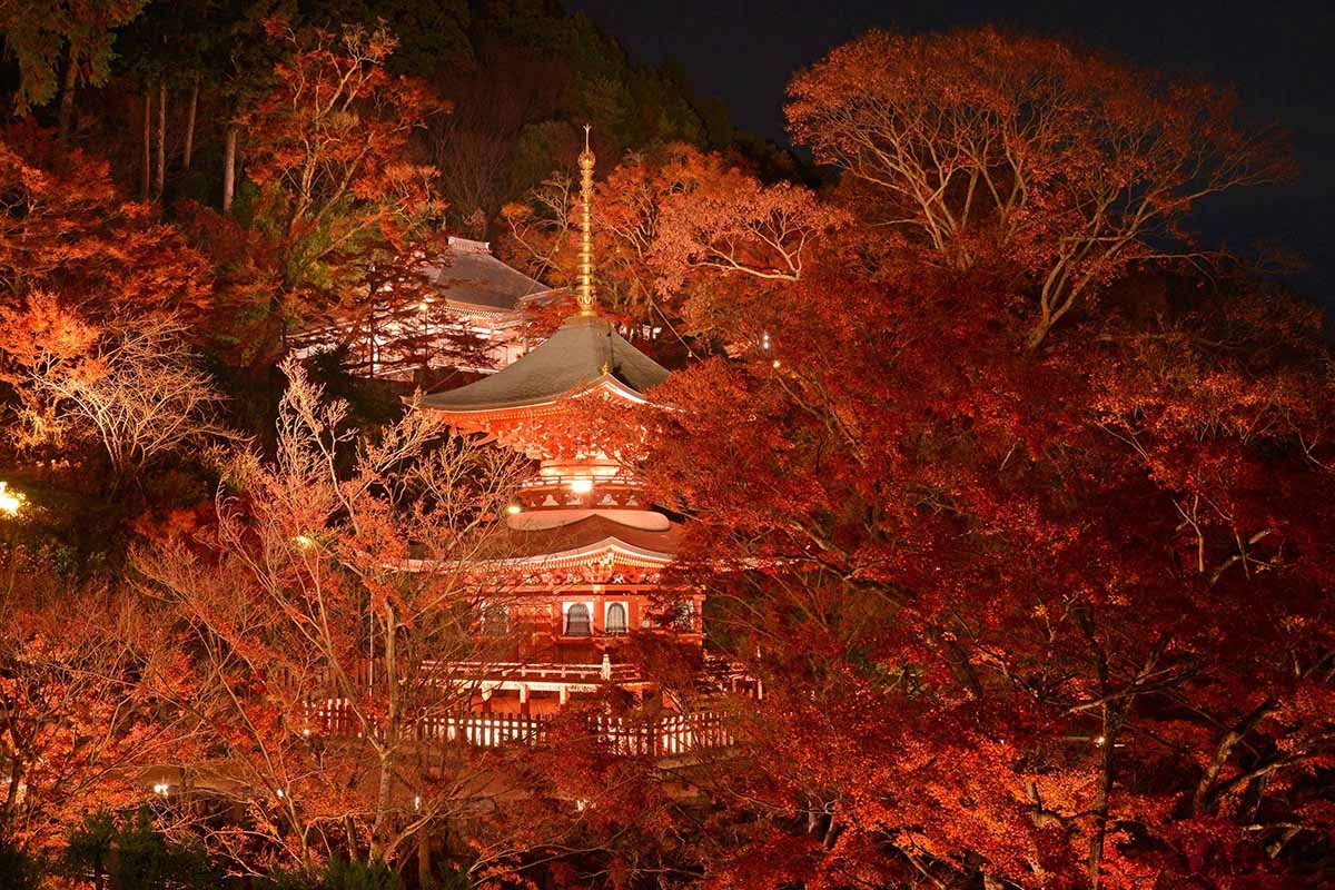 勝尾寺（大阪府箕面市）の「秋の特別ライトアップ」