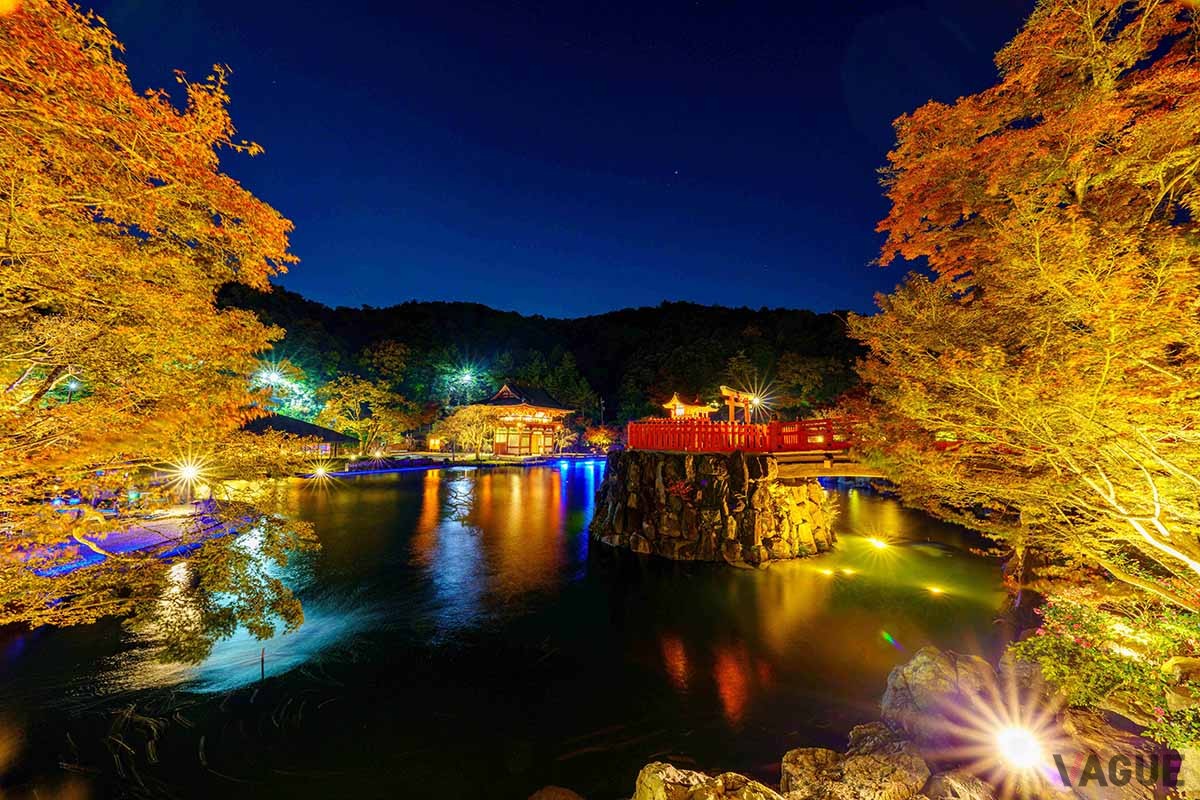 勝尾寺（大阪府箕面市）の「秋の特別ライトアップ」