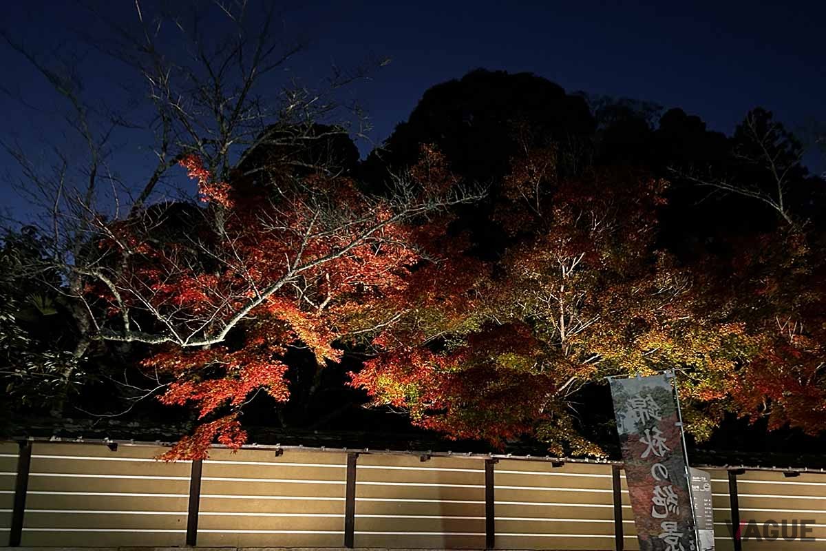 石山寺（滋賀県大津市）の「あたら夜もみじ 〜あたら夜 宵むすび〜」