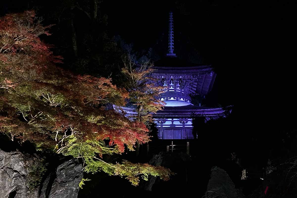 石山寺(滋賀県大津市)の「あたら夜もみじ 〜あたら夜 宵むすび〜」