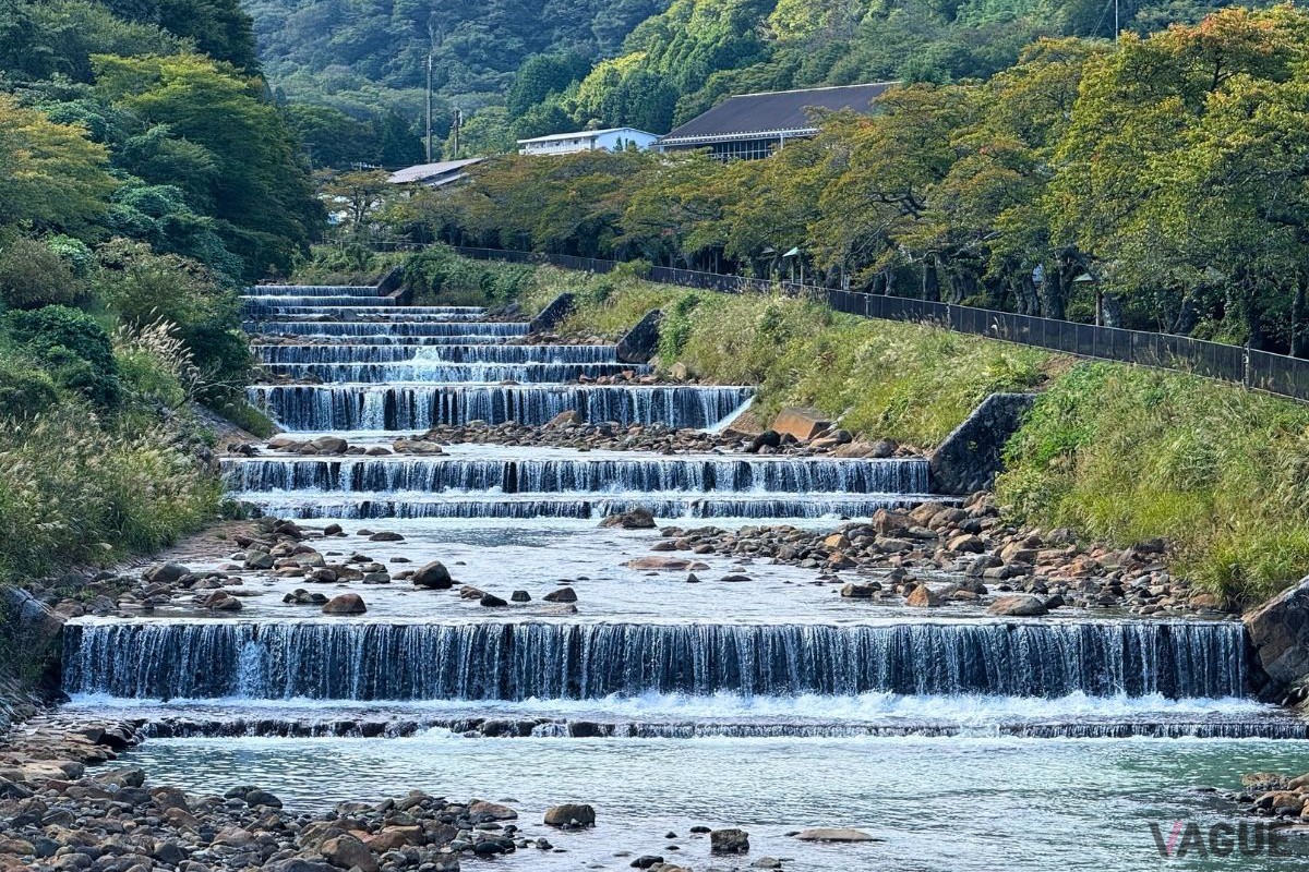 箱根随一の桜の名所「宮城野早川堤」
