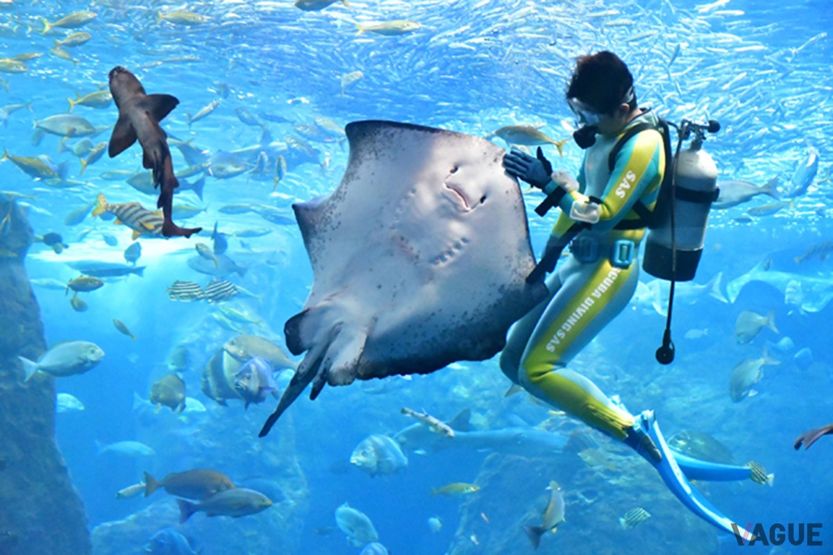 2位：新江ノ島水族館【神奈川県藤沢市】