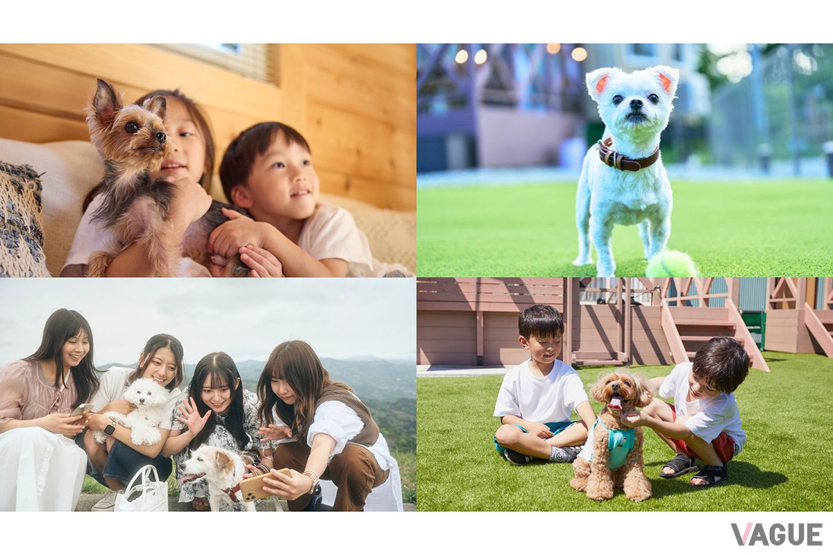愛犬と一緒に泊まれる安心感。全棟ドッグラン付き・ワンちゃん無料