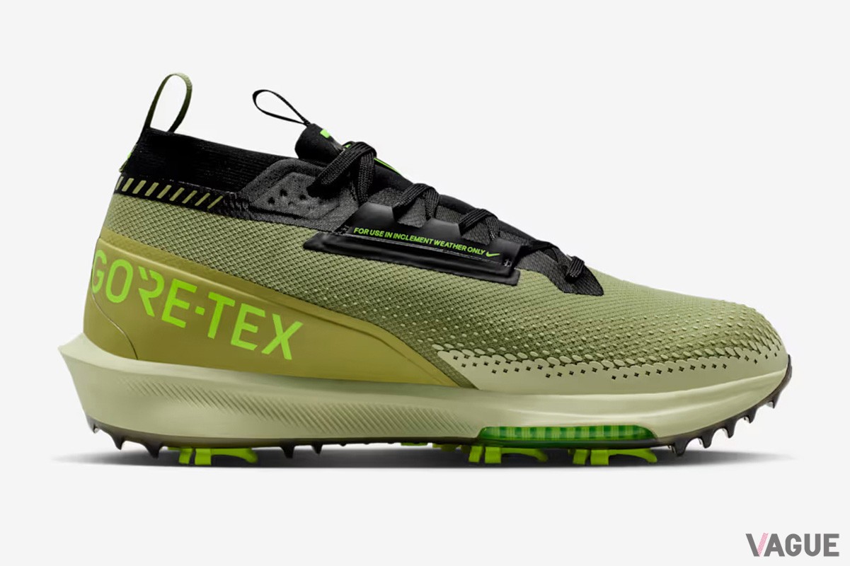 「ナイキ インフィニティ ツアー 2 GORE-TEX」