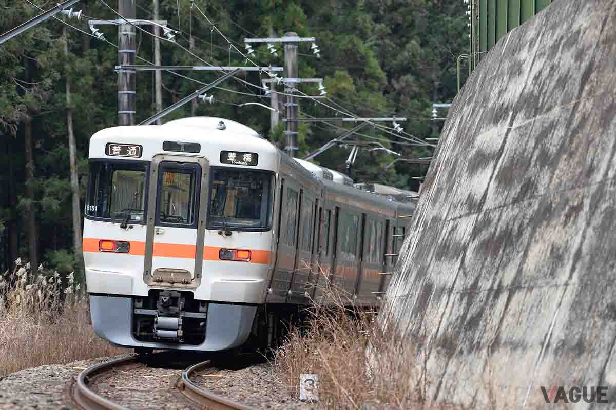 JR東海・飯田線は「秘境駅」の宝庫としても知られている