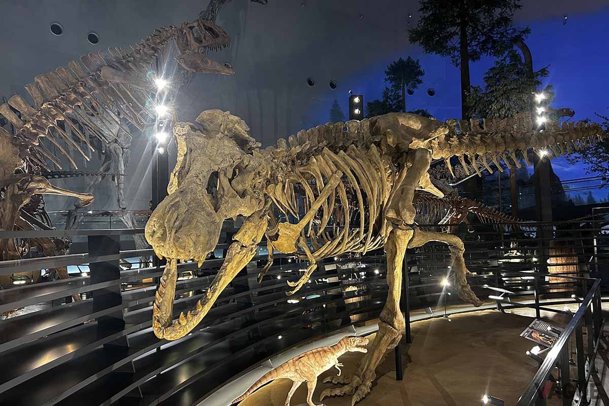 福井駅からバスで観光できる「福井県立恐竜博物館」