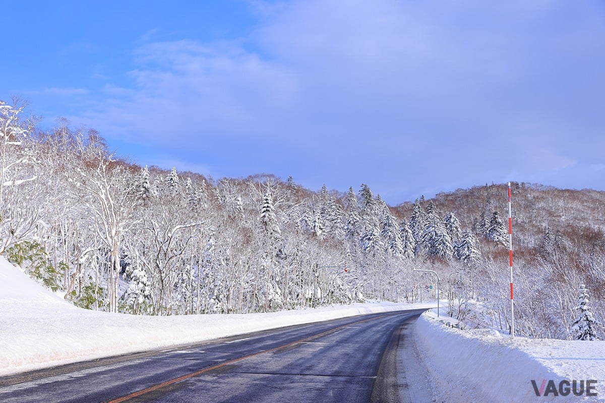 都市部でも気温差によって滑りやすい場所が発生することがある