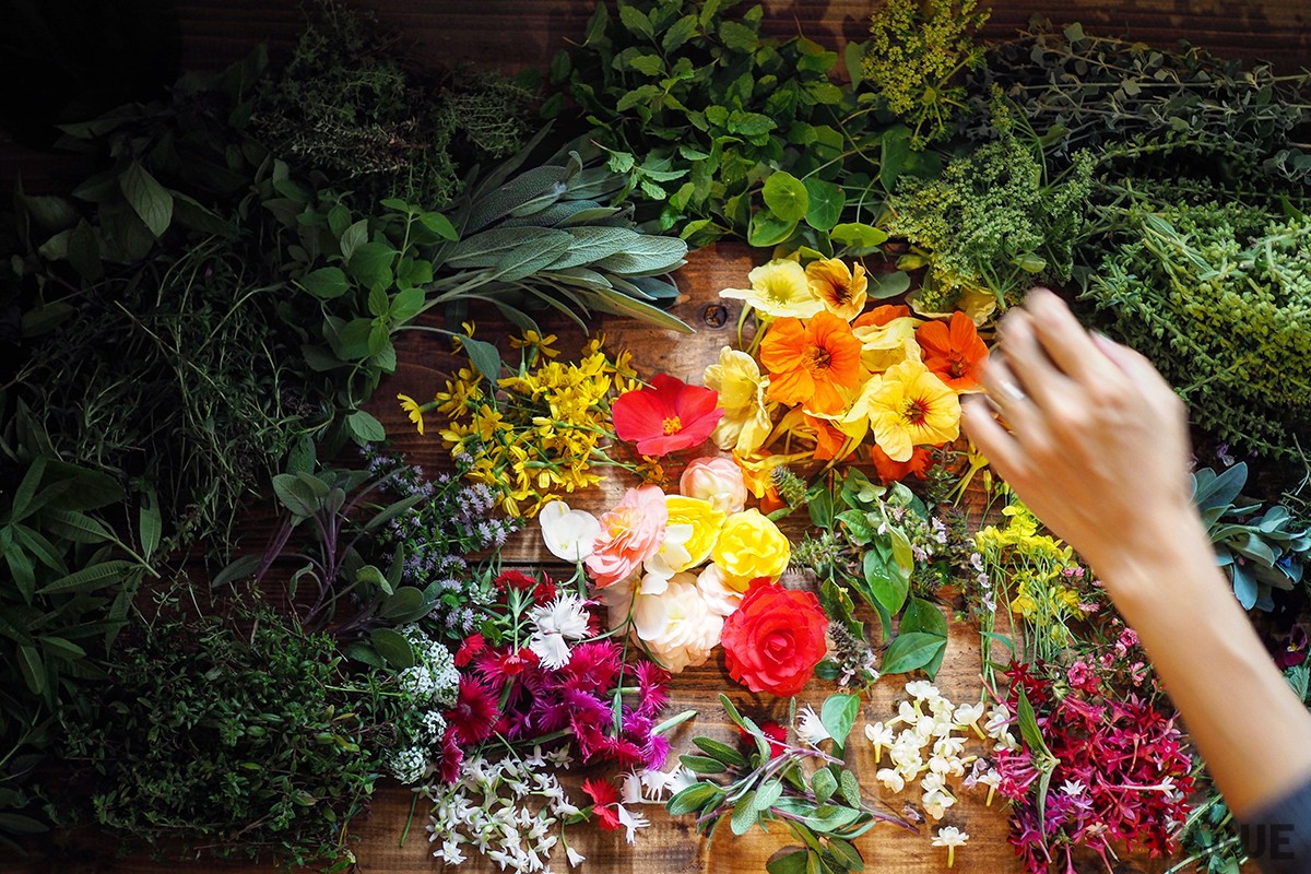 ハーブとエディブルフラワー