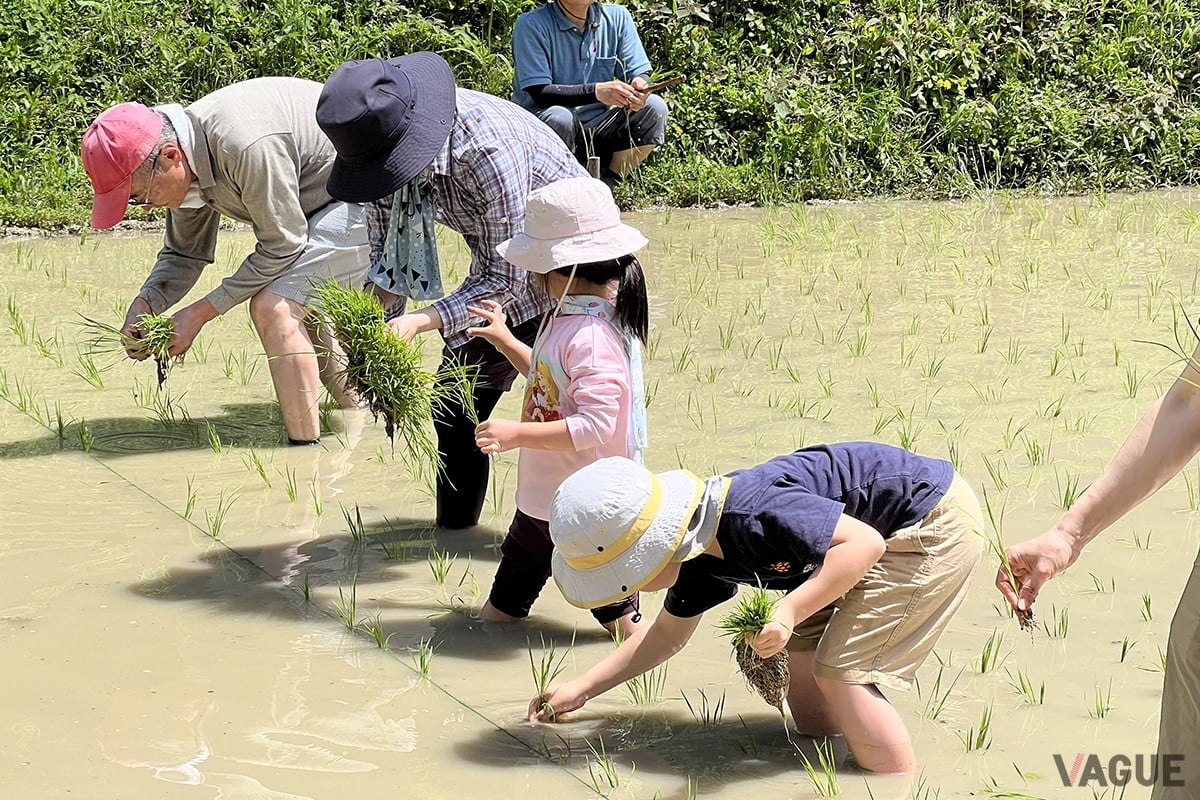 大山千枚田保存会