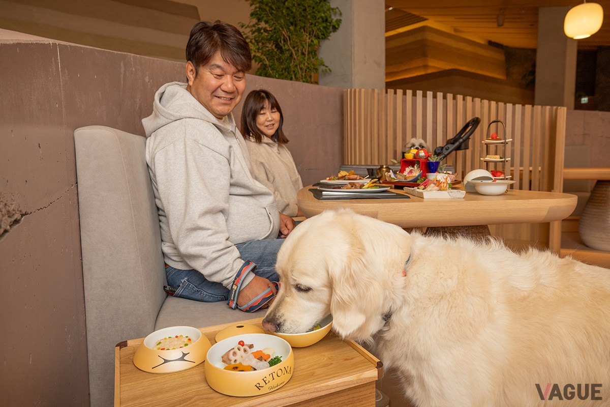 愛犬との夕食