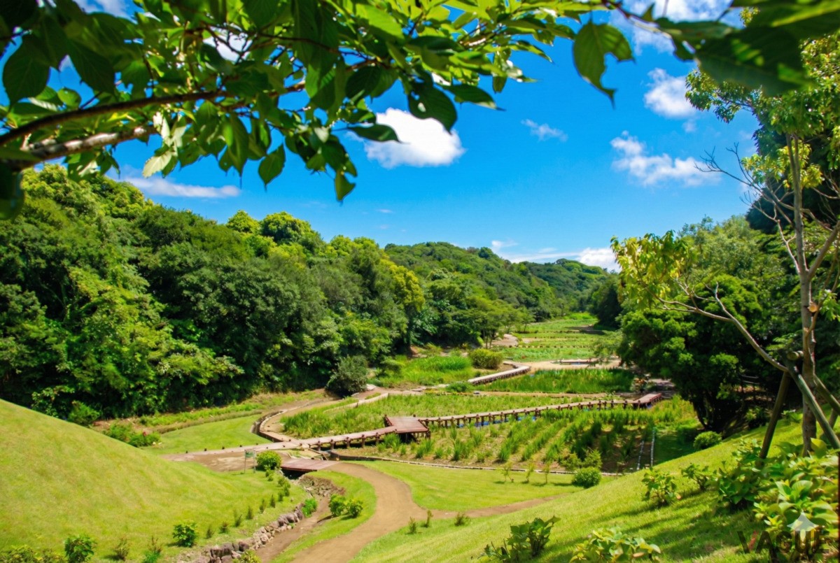 「里山水生園」を舞台に、自然観察や環境学習などの体験プログラムの実施も予定