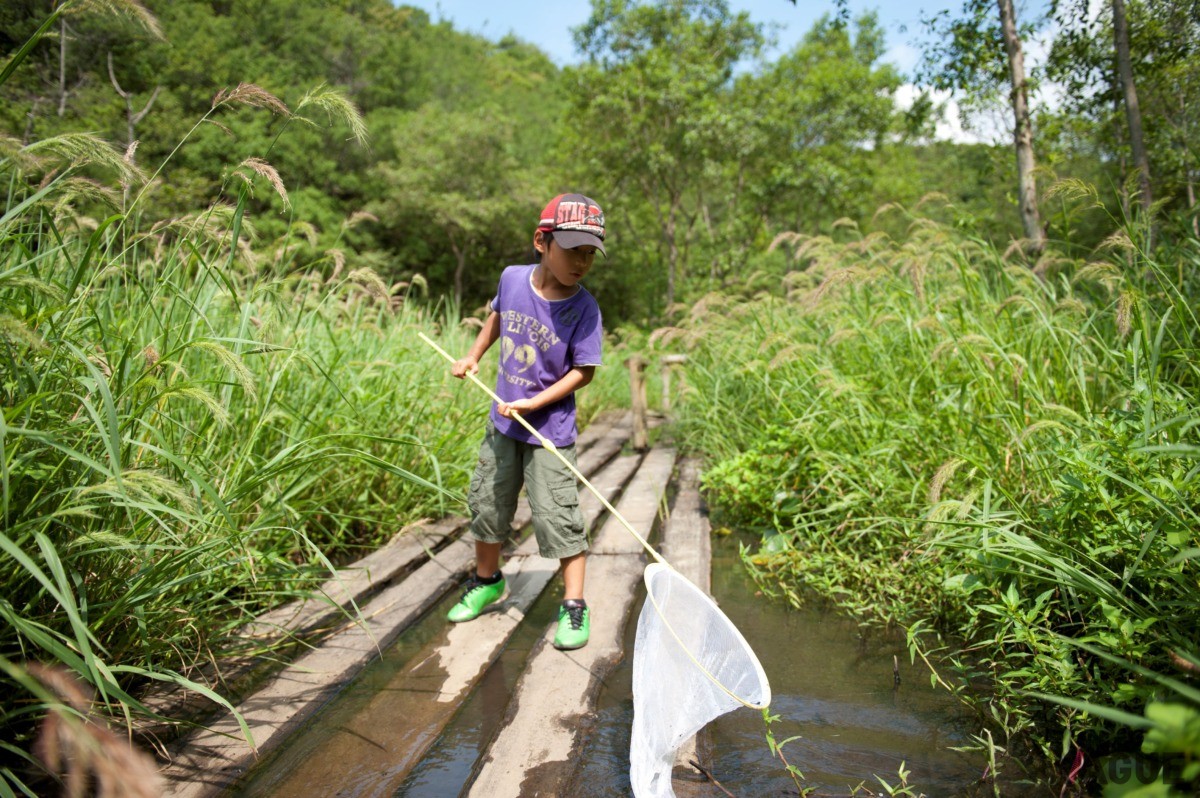 多様性に富んだ水辺環境と里山の生態系を体感できる場